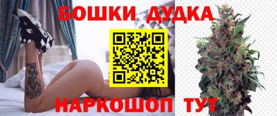 молекула духа Ставрополь
