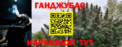 молекула духа Ставрополь
